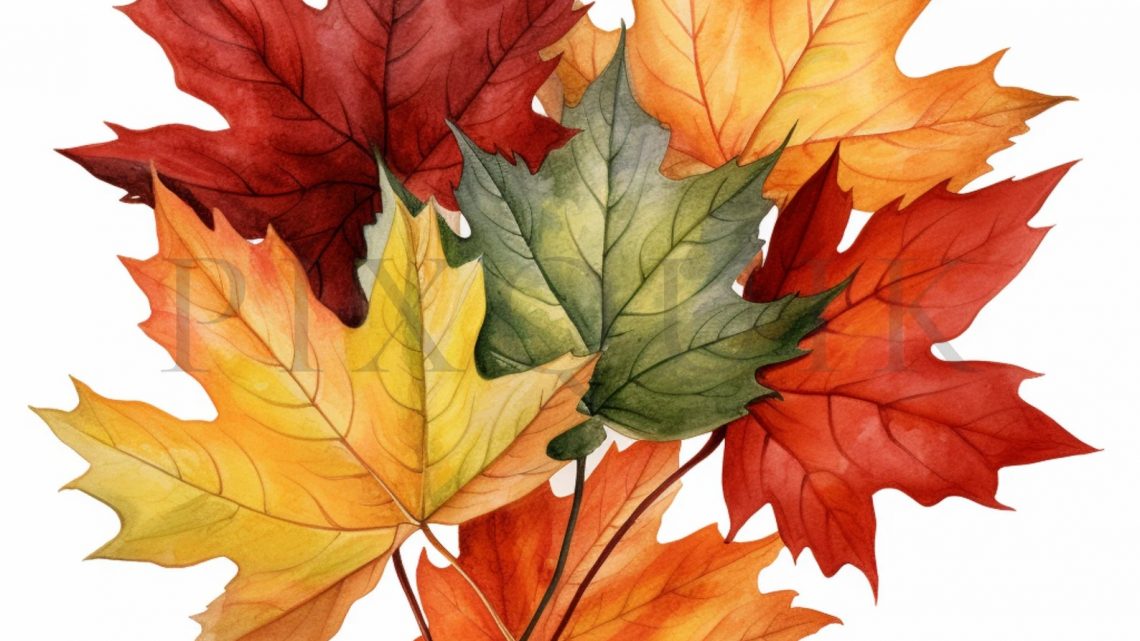 Herbstferien? … wir haben offen