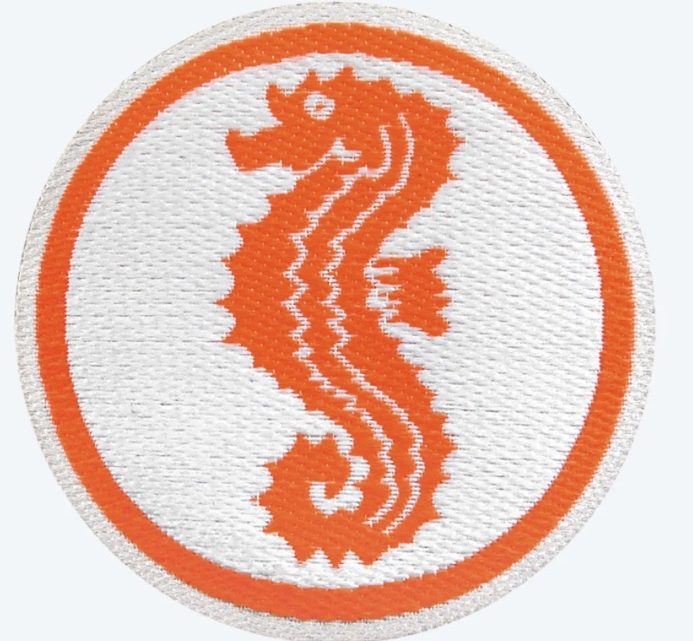 Begrenzte Plätze für das Anfängerschwimmen – Seepferdchenabzeichen